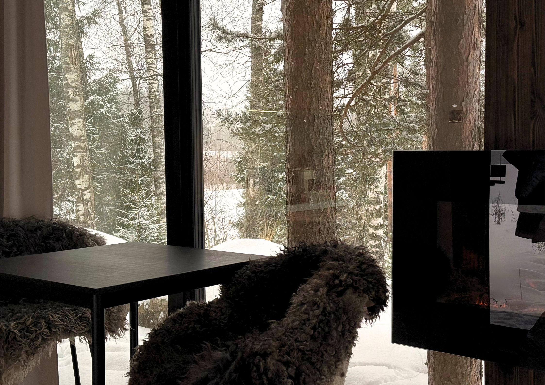 Forest Villa view 1