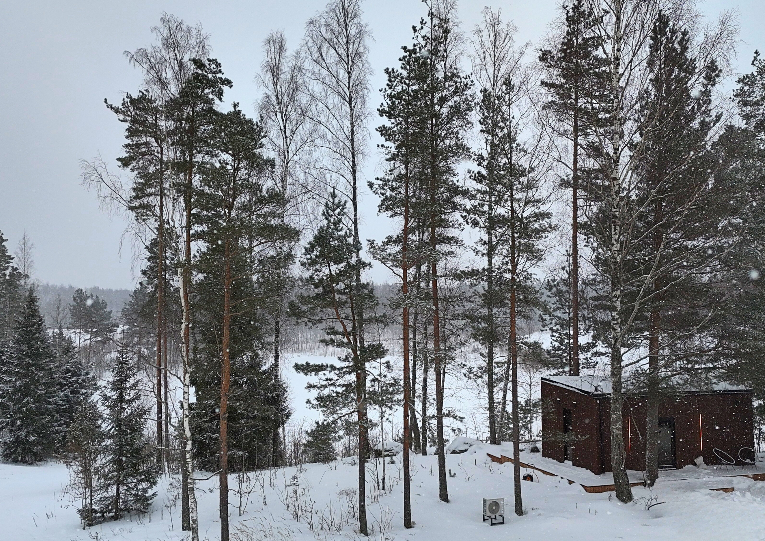 Forest Villa view 2