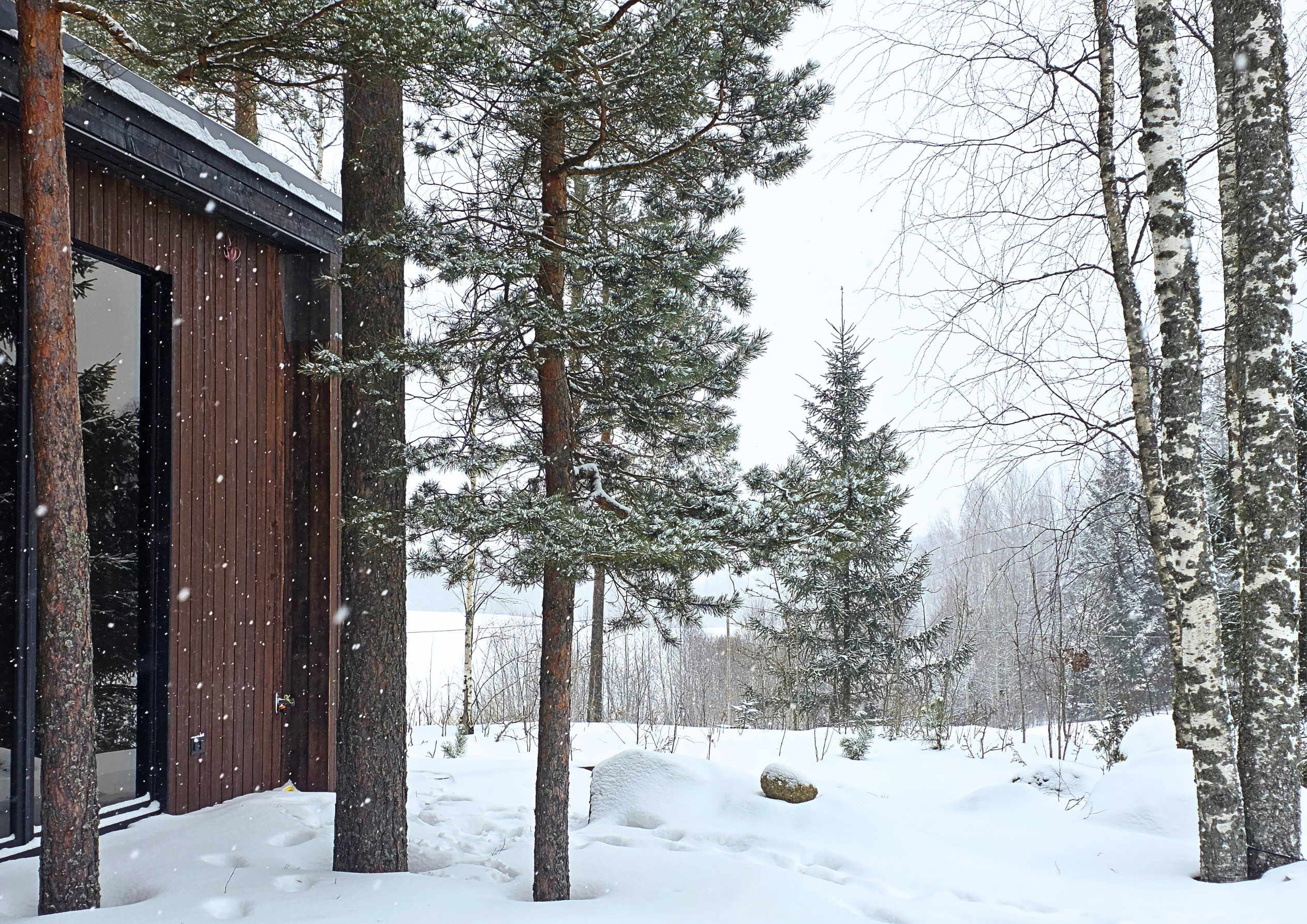 Forest Villa view 3